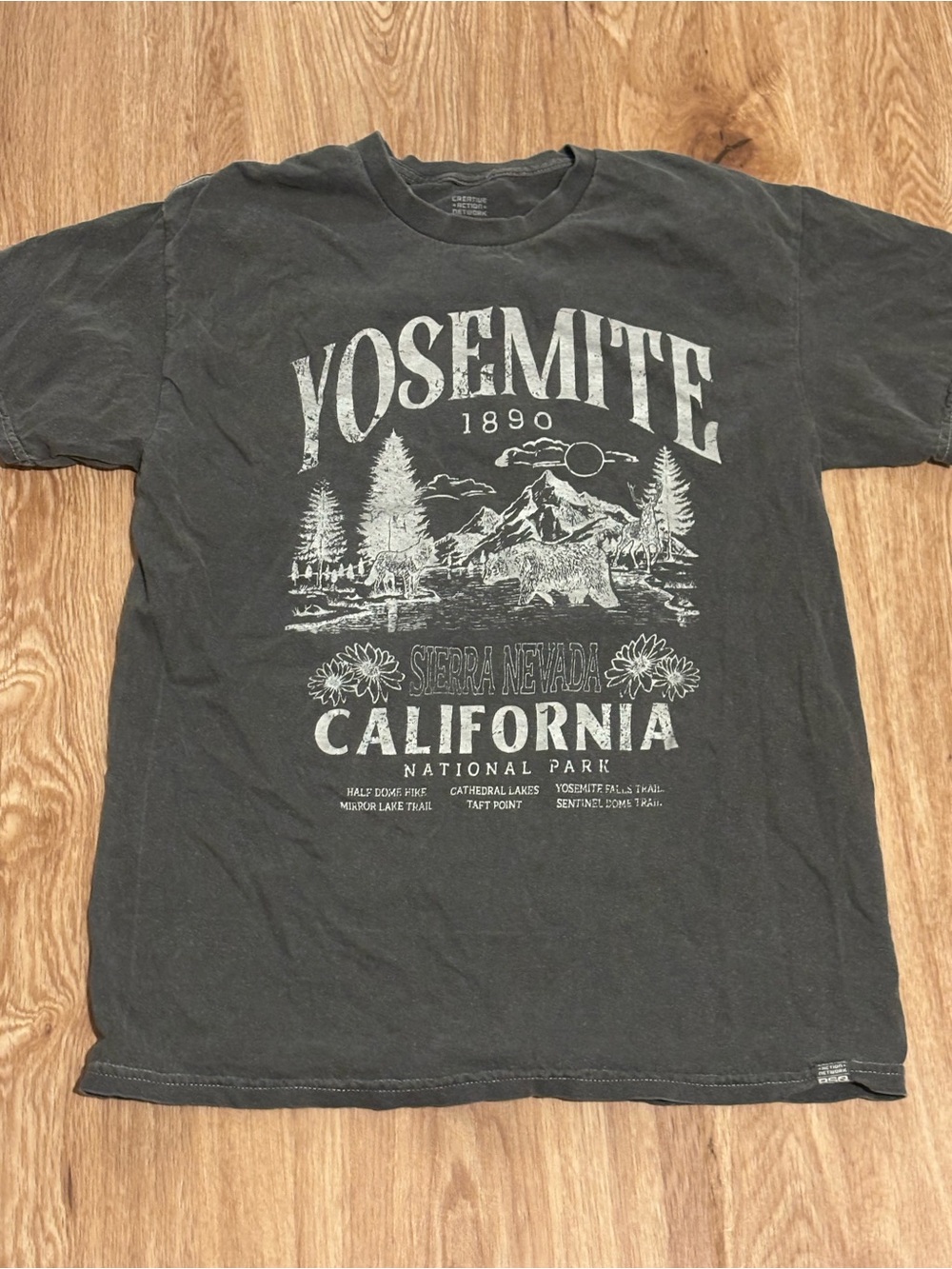 RSQ Yosemite California Graphic Tee - Charcoal Mens small